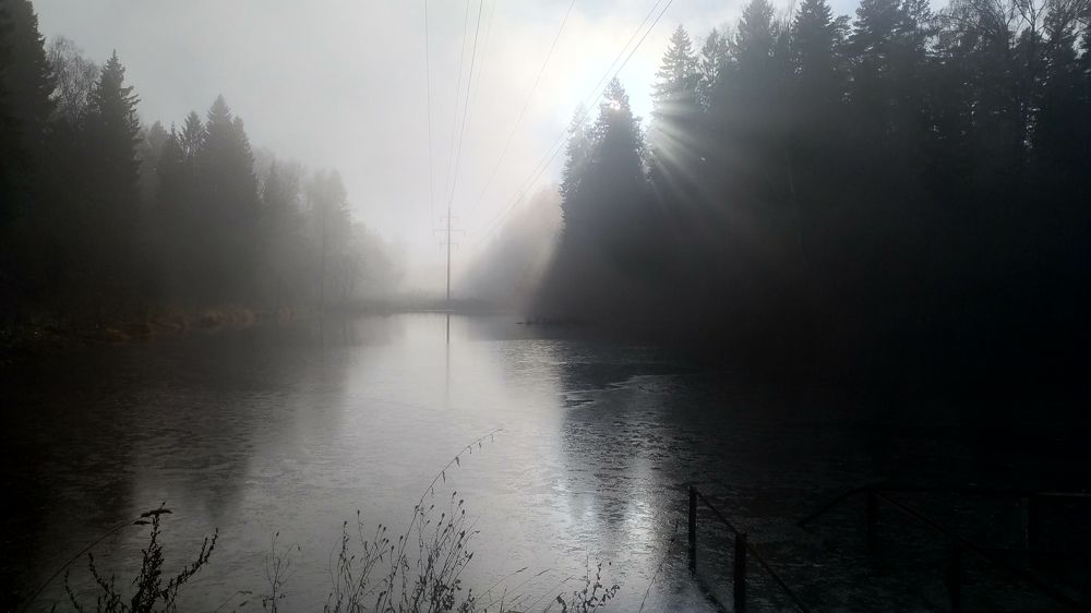 Туманное утро