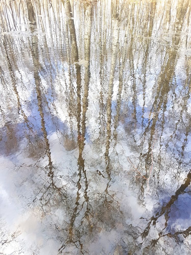 Photograph by Анастасия Гудкова