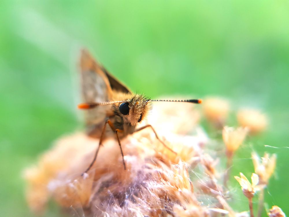 Photograph by Анастасия Гудкова