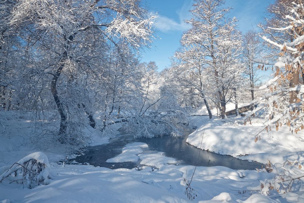 Зимний день