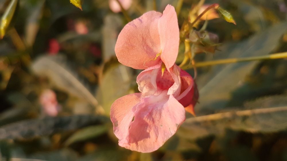 Photograph by Анастасия Гудкова