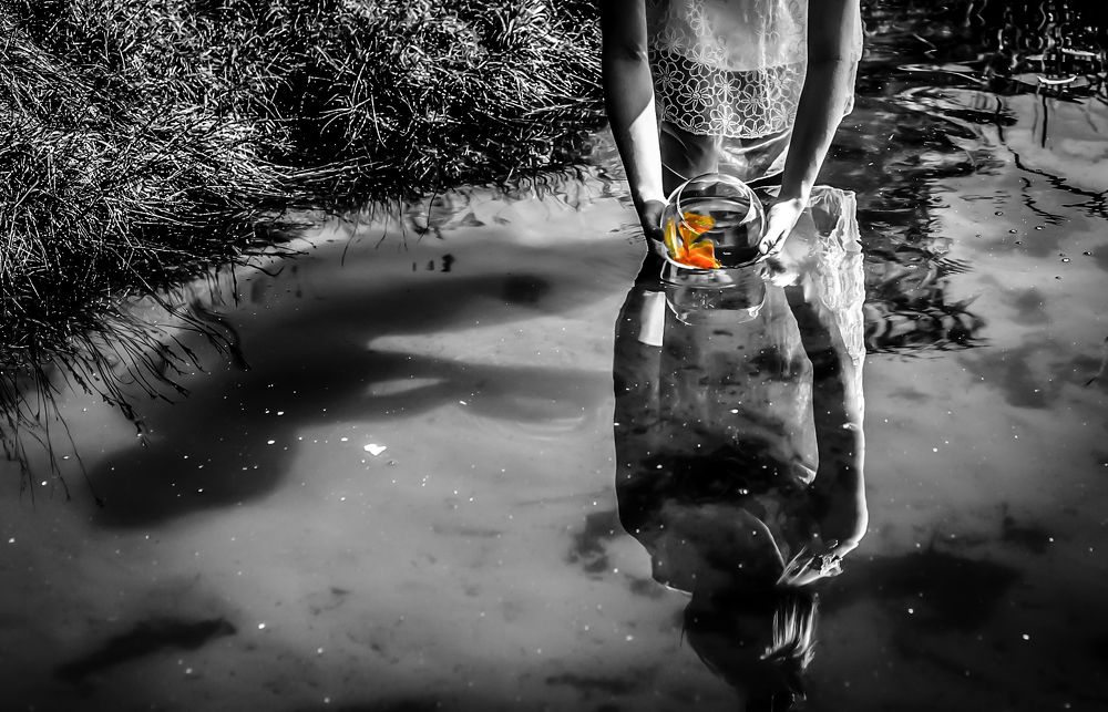 Фотография автора Nata Li