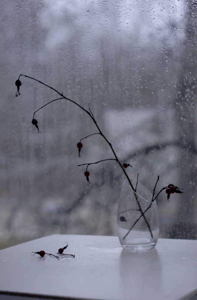 мокрое настроение