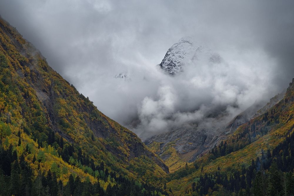 \"ЗЛАЯ ПАСТЬ\"