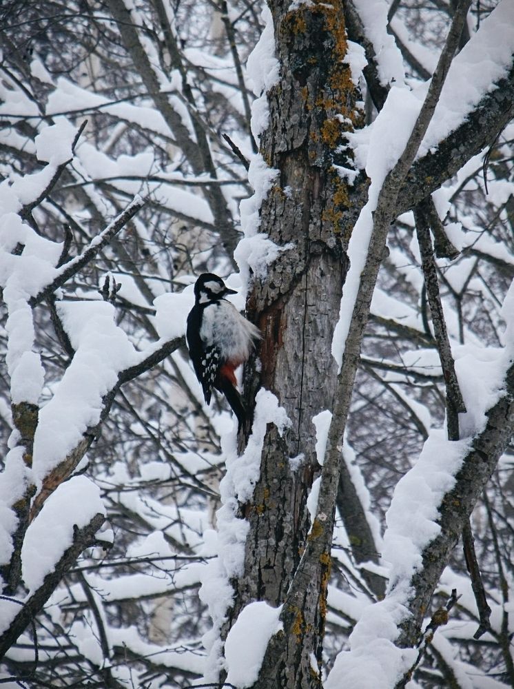 Photograph by Настя Трубкина