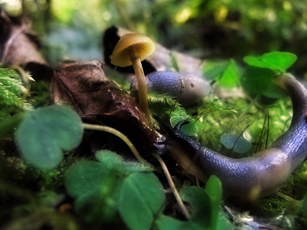 Такой огромный мир