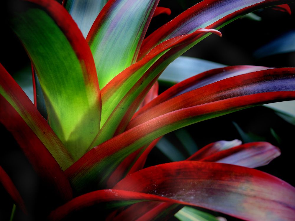 Photograph by Nomorenicknames