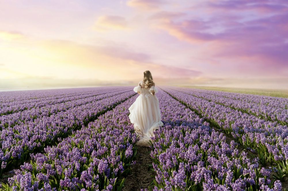 Сиреневые сны