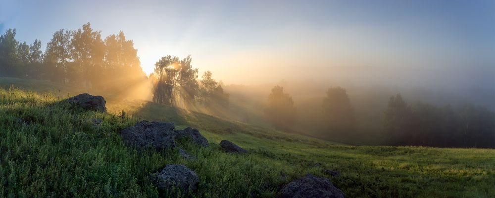 Доброе утро
