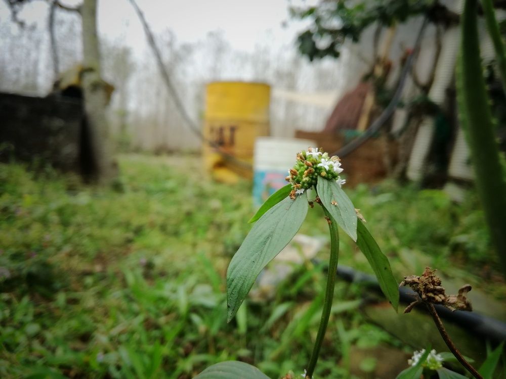 Soledad en el entorno
