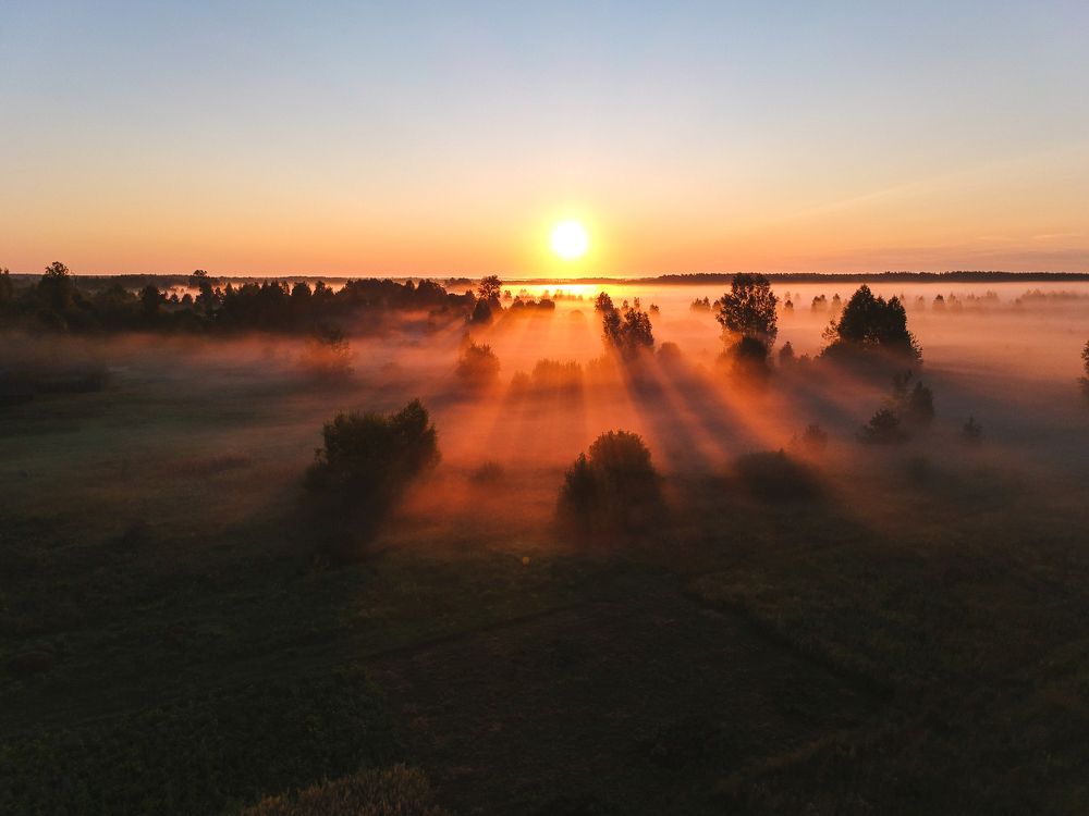 Летнее утро