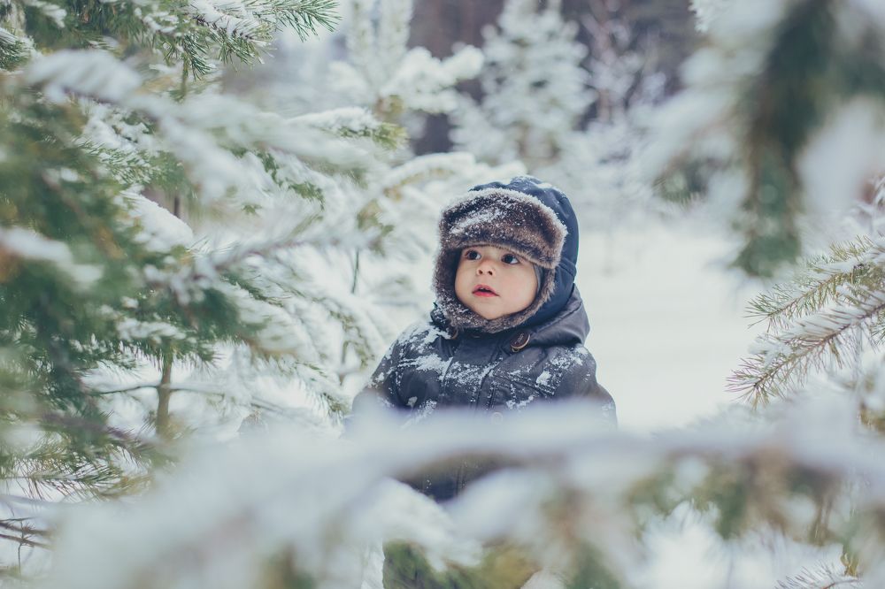 Лесная прогулка