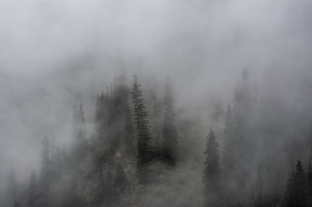 Туманный день