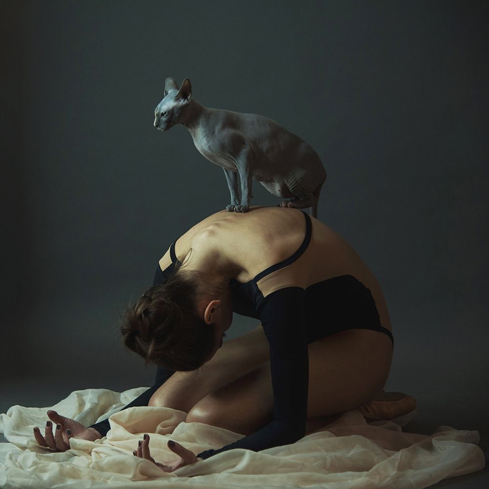 Человек и кошка