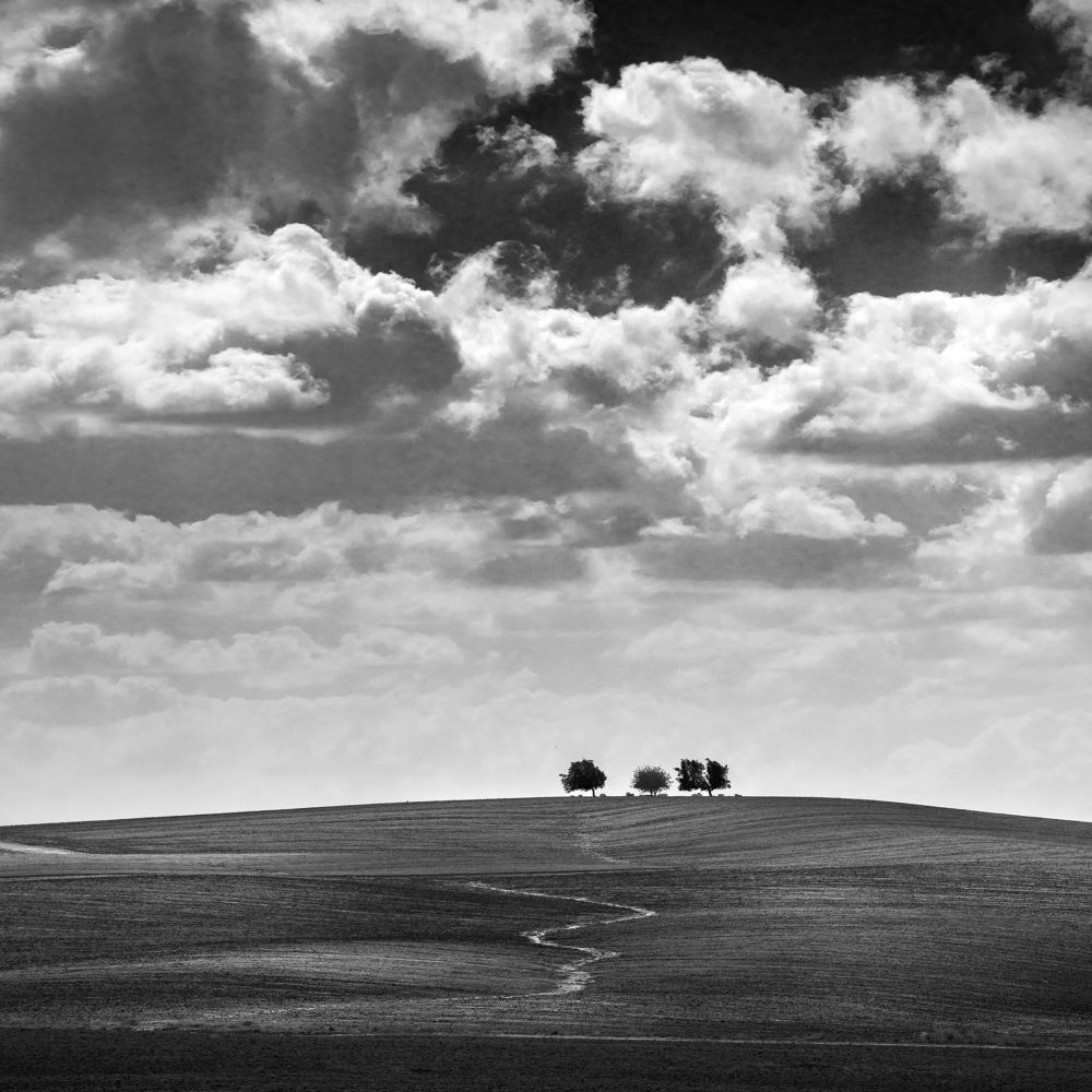 -безмолвие-