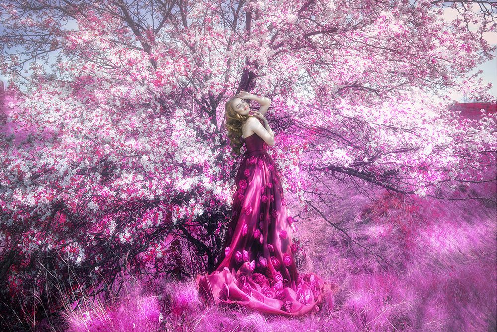 Photograph by Наталья Цапаева