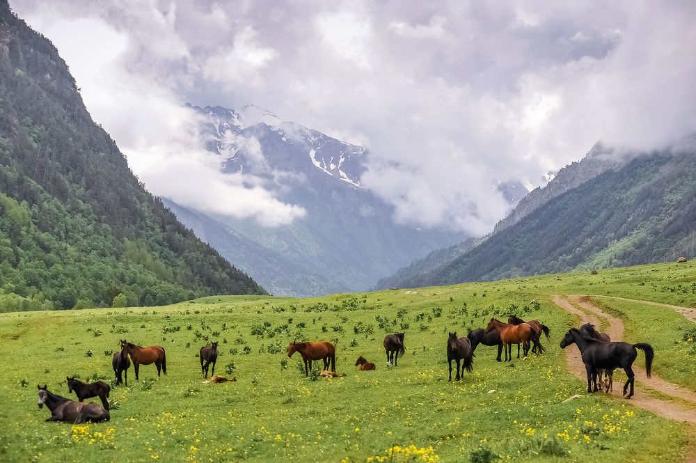 В долине р.Марухи