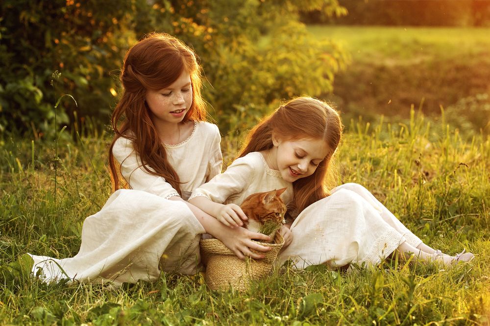 Рыжая сказка