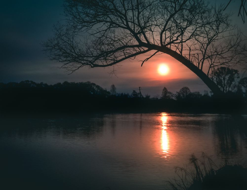 Фотография автора Константин Яковлев