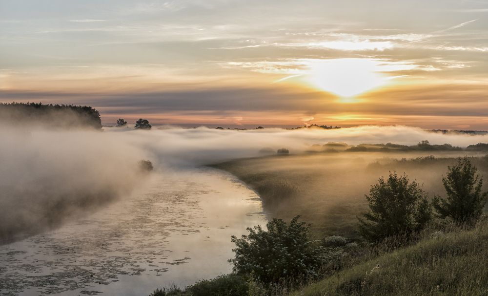 Молочные реки...