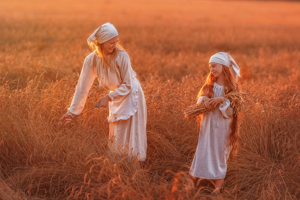 Сбор урожая