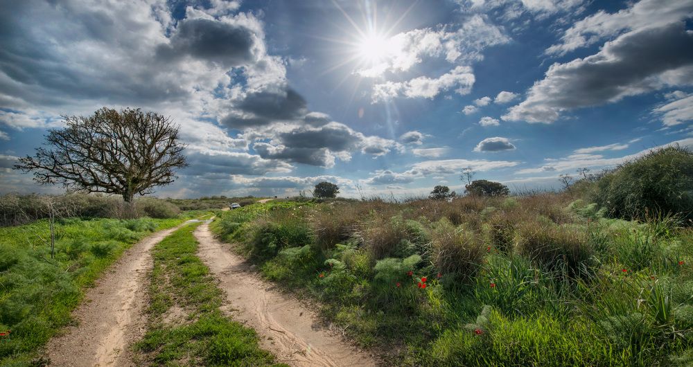 -дороги по которым хожу-