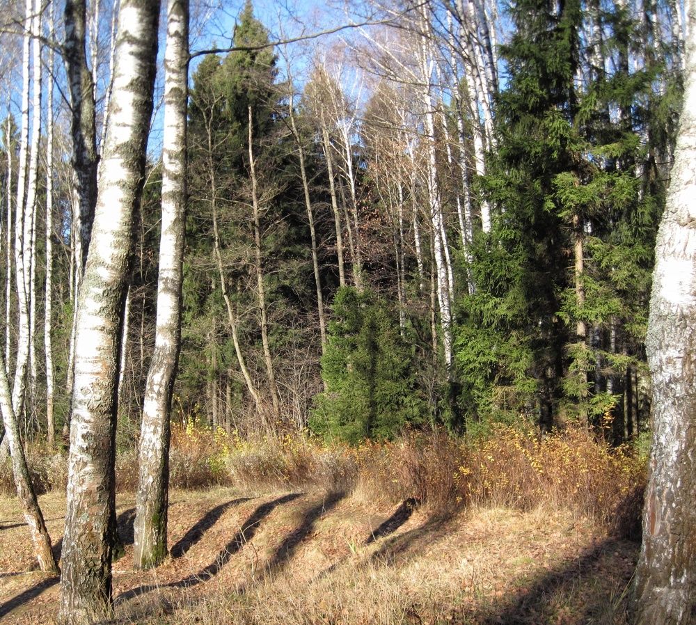 Photograph by Людмила М