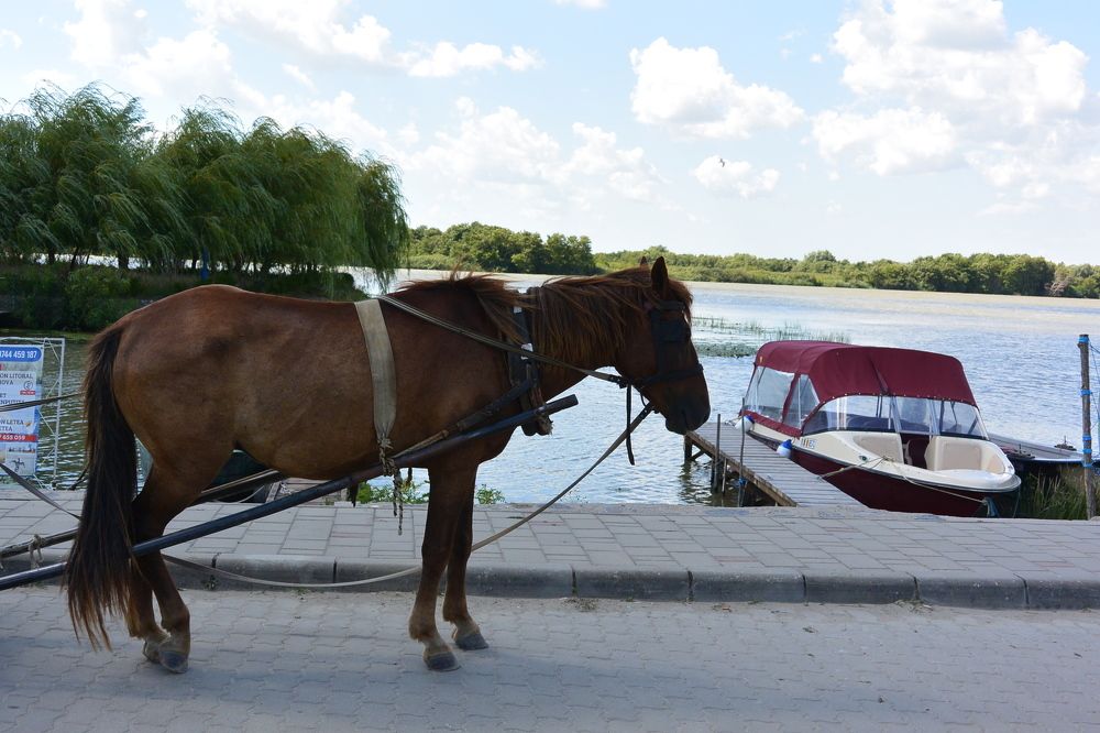 Ecological Taxi