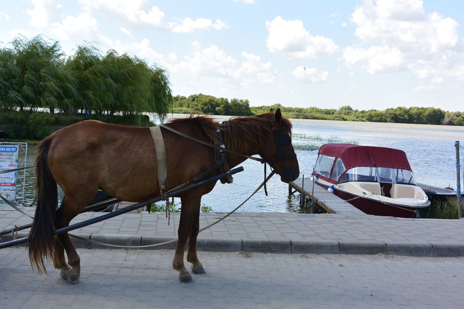 Ecological Taxi