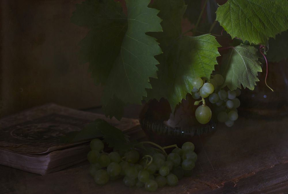 Photograph by Катерина Кубица