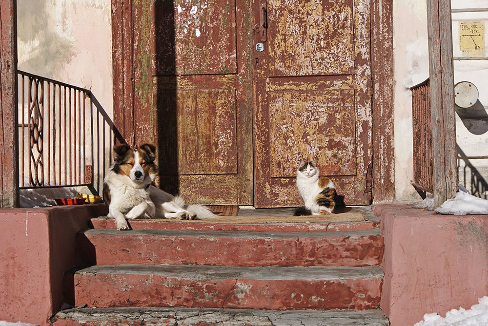 Photograph by Михаил Рассказ