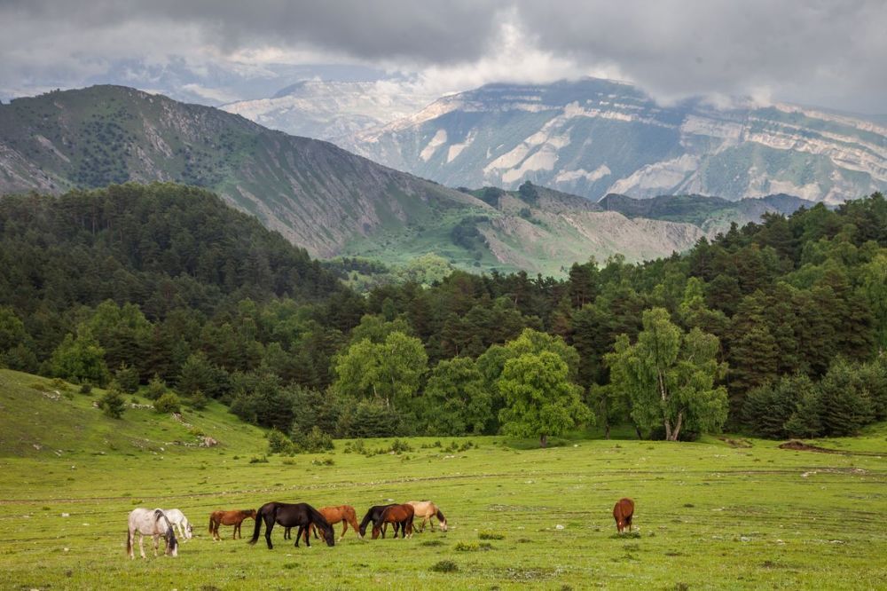 После грозы