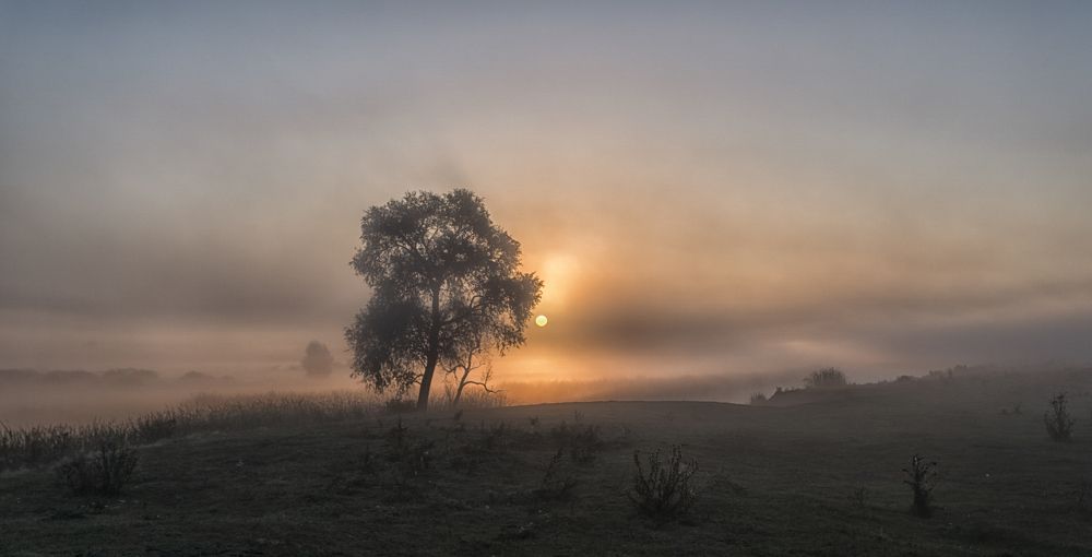 Туманный рассвет...