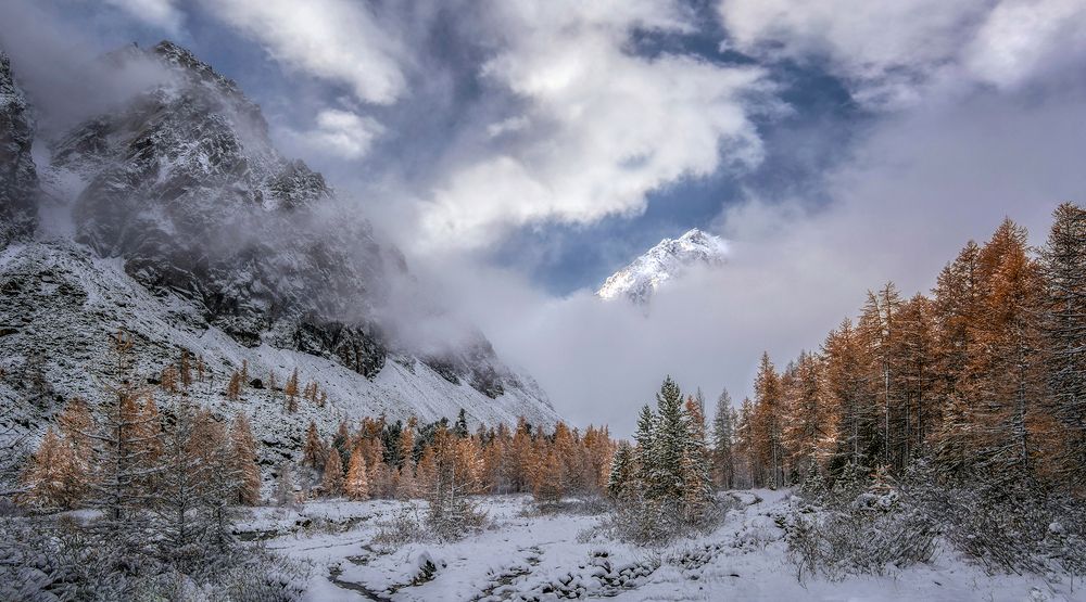 Утро первого снега....