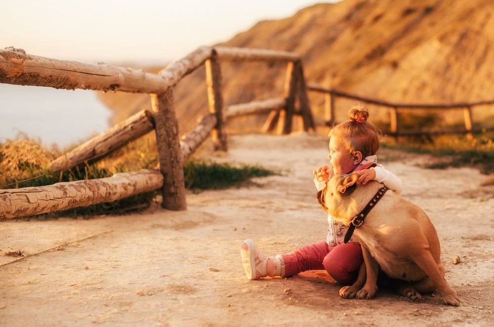 Photograph by Татьяна Золотарева