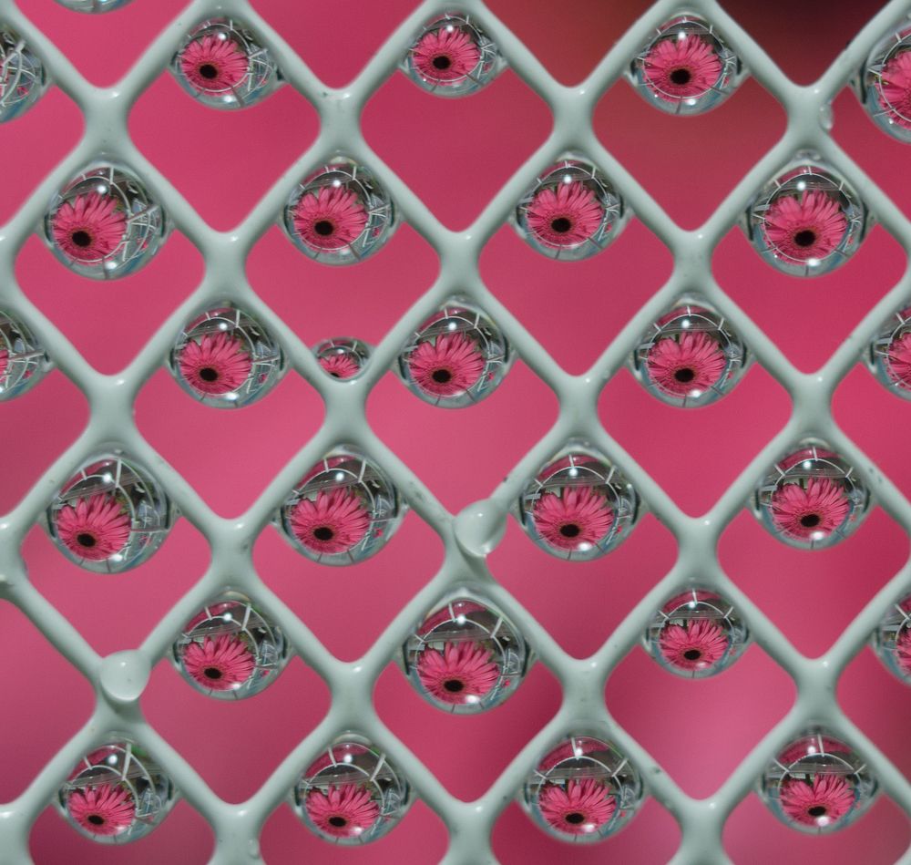 Photograph by Татьяна Пименкова