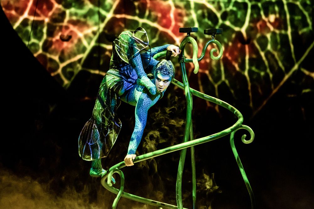 Замри и смотри