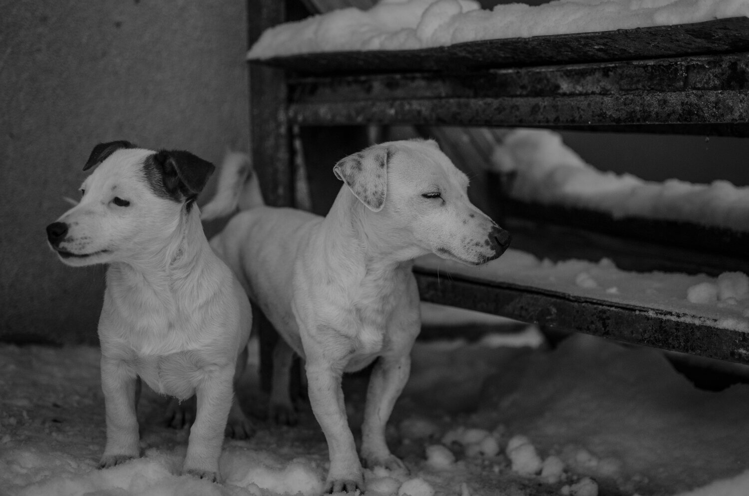 Mother and son