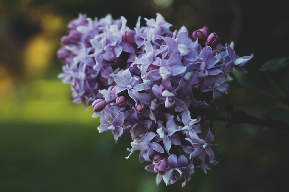 Photograph by Ульяна Барышникова