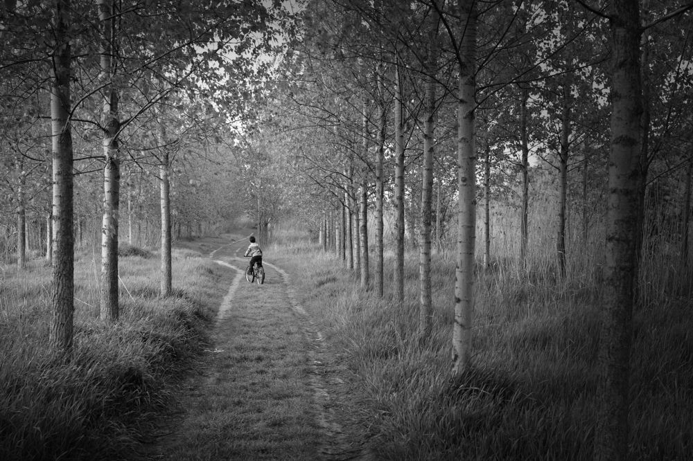 A boy ridig bicycle in the woods