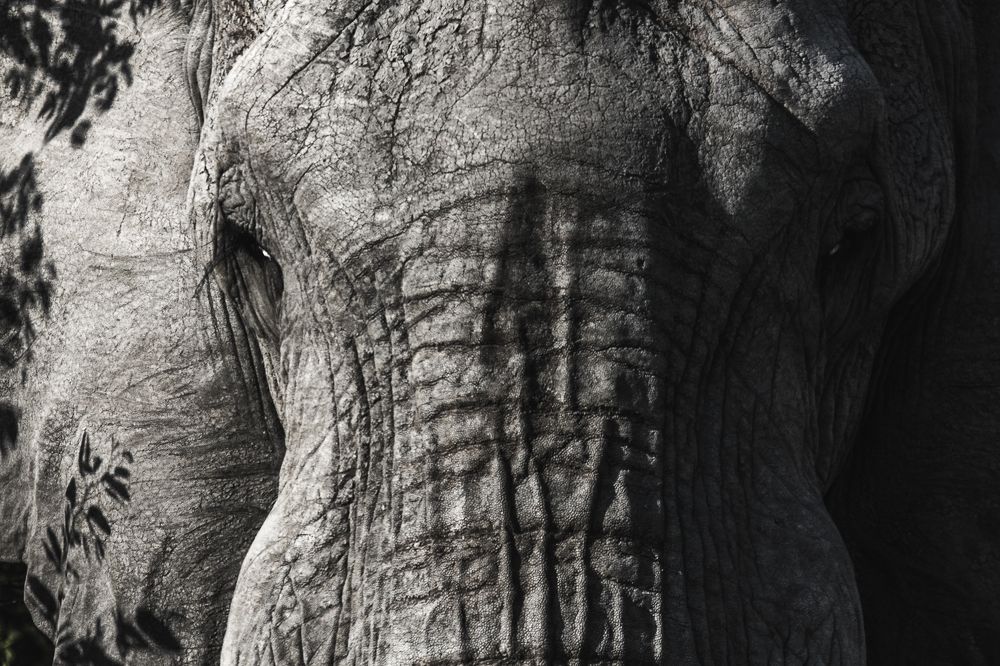 На страже веков