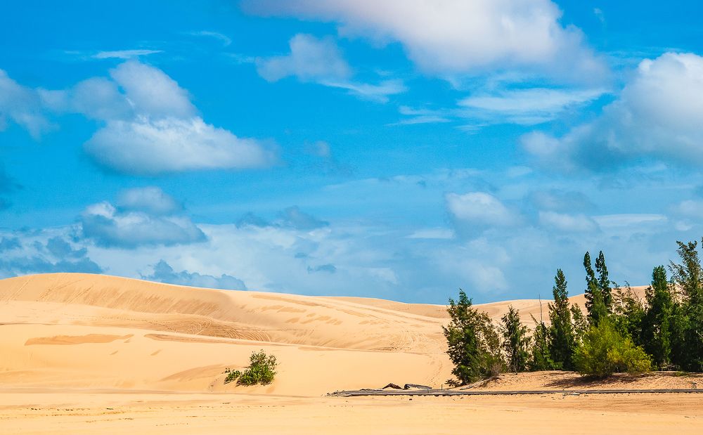 Đồi cát ở Bàu Trắng