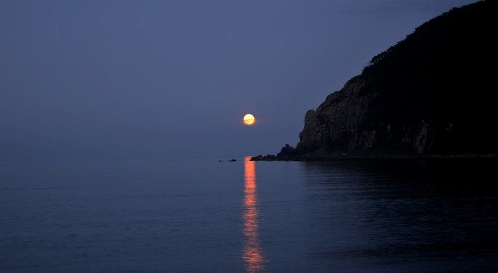 Лунная дорожка