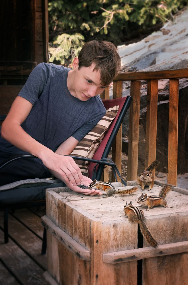 Запасливые зверушки