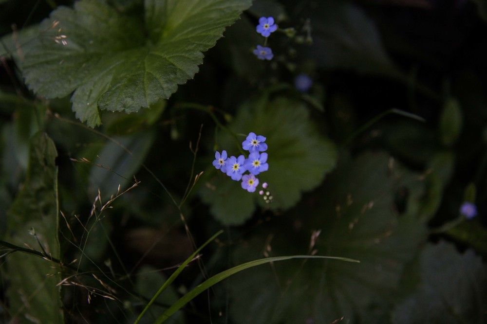 Photograph by Наталья