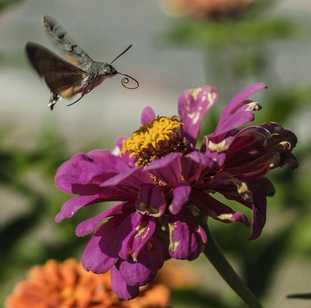 Приступая к делу