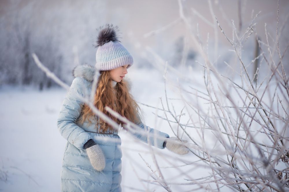 Красота зимнего утра