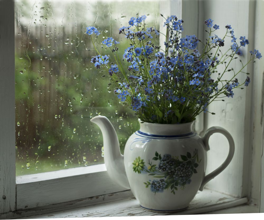 Дождь за окном.