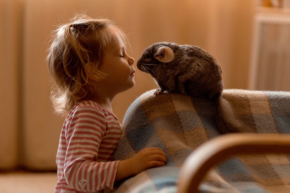 Маленькие друзья