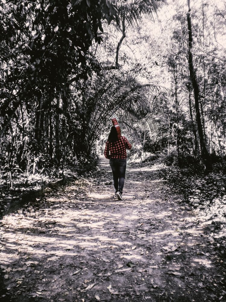 Walking